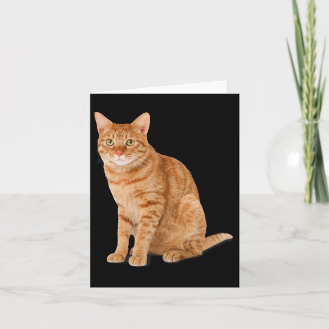 Orange Cat Tab Funny Cat Parody Cat Lover Gift Kit Card (Front)