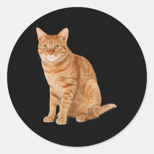 Orange Cat Tab Funny Cat Parody Cat Lover Gift Kit Classic Round Sticker