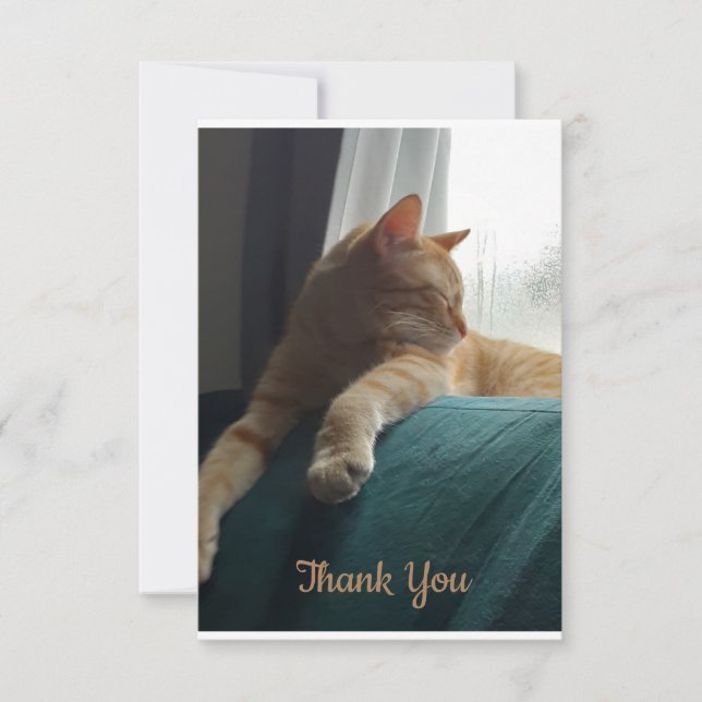 Orange Cat Thank You Card (Front)