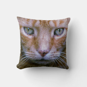 Orange cat throw pillow