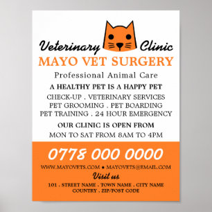 Orange Cat, Veterinarian, Veterinary Service Poster