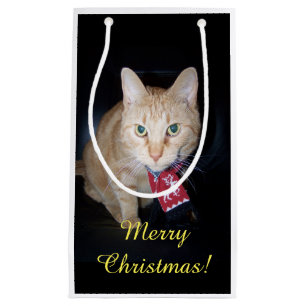 Orange Cat Wearing Scarf Christmas Gift Bag