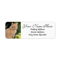 Orange Cat with Flowers Return Address