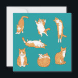 Orange Cats Funny Birthday Card<br><div class="desc">Orange cats in funny poses.</div>
