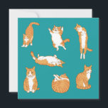 Orange Cats Funny Birthday Card<br><div class="desc">Orange cats in funny poses.</div>