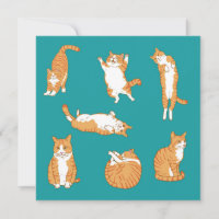  Orange Cats Funny Birthday