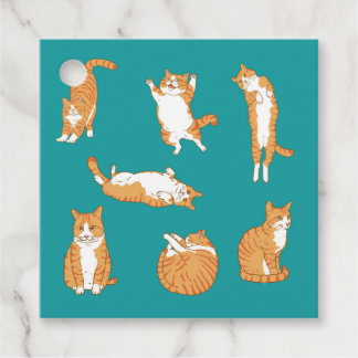 Orange Cats Funny Gift Favour Tags