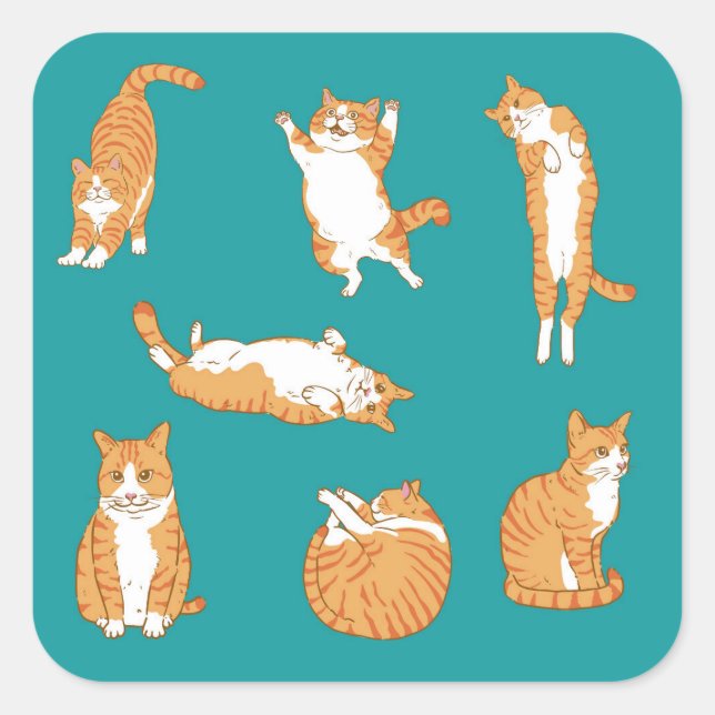 Orange Cats Funny Square Sticker (Front)