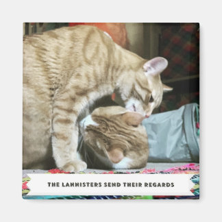 Orange Cats Magnet
