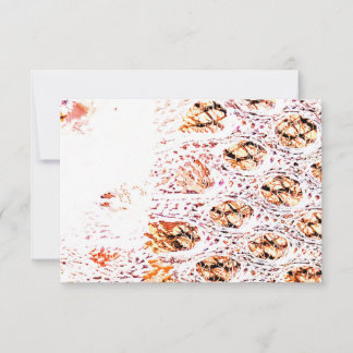 Orange Cell Print