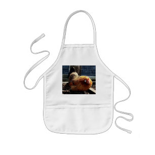 Orange chicken kids apron