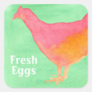 Orange Chicken Lime Green Fresh Eggs Square Sticker