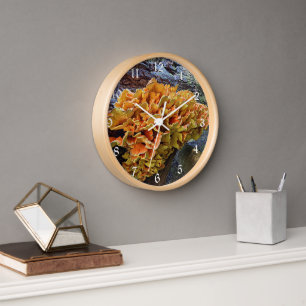 Orange Chicken of the Woods Mushroom Clock