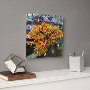 Orange Chicken of the Woods Mushroom Square Wall Clock