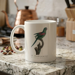 Orange-Chinned Parakeet, Brotogeris jugularis Coffee Mug