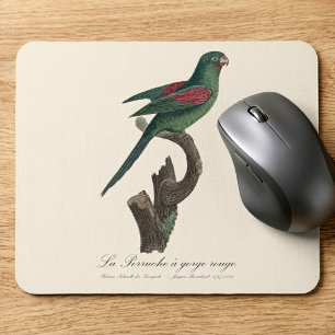 Orange-Chinned Parakeet, Brotogeris jugularis Mouse Pad