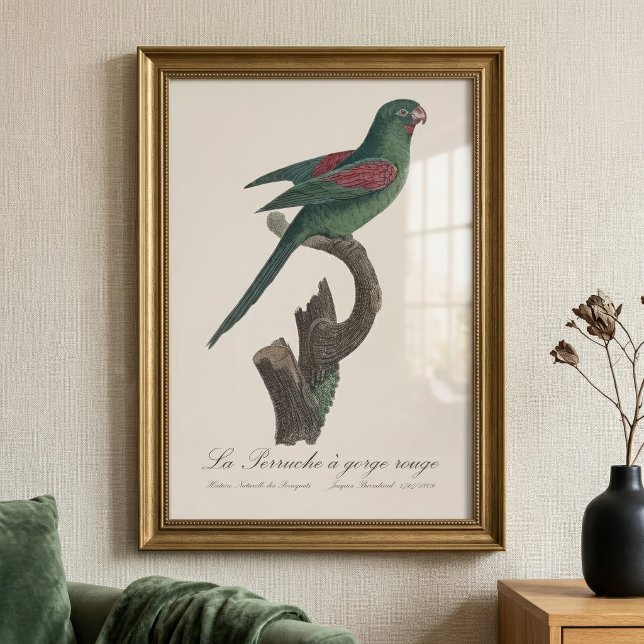 Orange-Chinned Parakeet, Brotogeris jugularis Photo Print (Orange-Chinned Parakeet, Brotogeris jugularis. Photo Print )