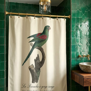 Orange-Chinned Parakeet, Brotogeris jugularis Shower Curtain