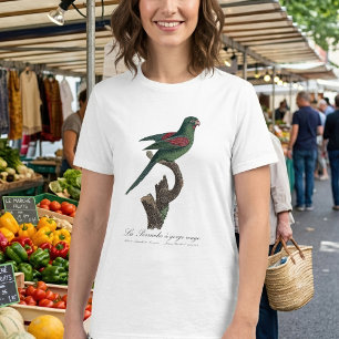 Orange-Chinned Parakeet, Brotogeris jugularis T-Shirt