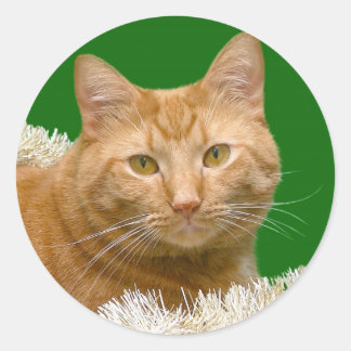 Orange Christmas tabby Classic Round Sticker