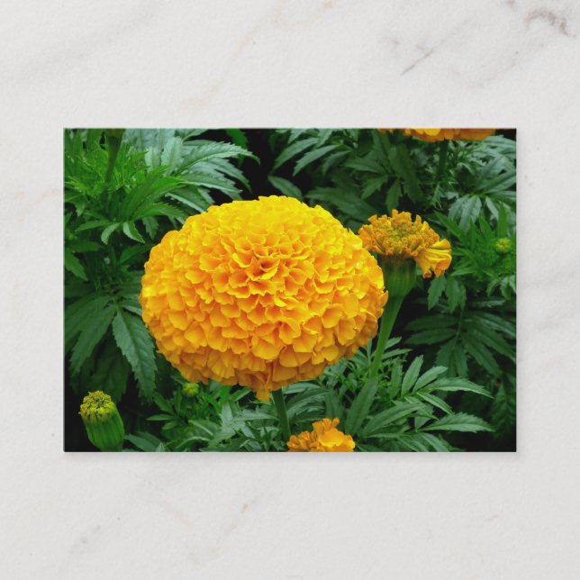 Orange Chrysanthemum Business Card (Front)