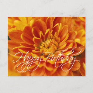 Orange Chrysanthemum Happy Birthday Postcard