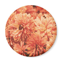 Orange Chrysanthemum Magnet