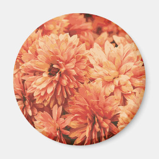 Orange Chrysanthemum Magnet