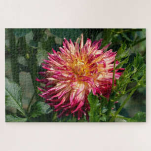 Orange Chrysanthemum Photography, Canadian Beauty Jigsaw Puzzle