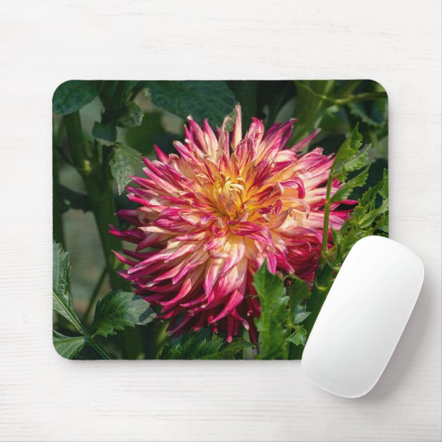 Orange Chrysanthemum Photography, Canadian Flower Mouse Pad (With Mouse)