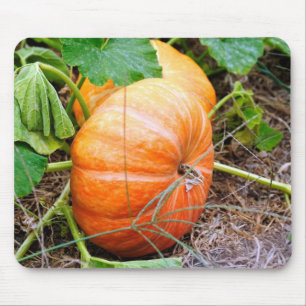 Orange Cinderella Pumpkin Mouse Pad