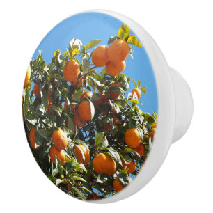 orange, citrus, fruit, fresh, slice, food, ripe, ceramic knob