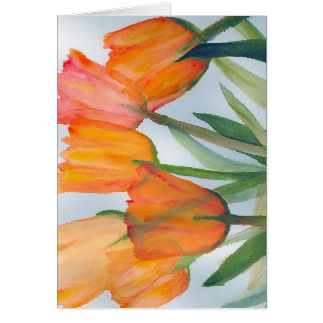 Orange Citrus Tulips (Front)