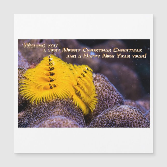Orange colour Christmas Tree Worm (Front)