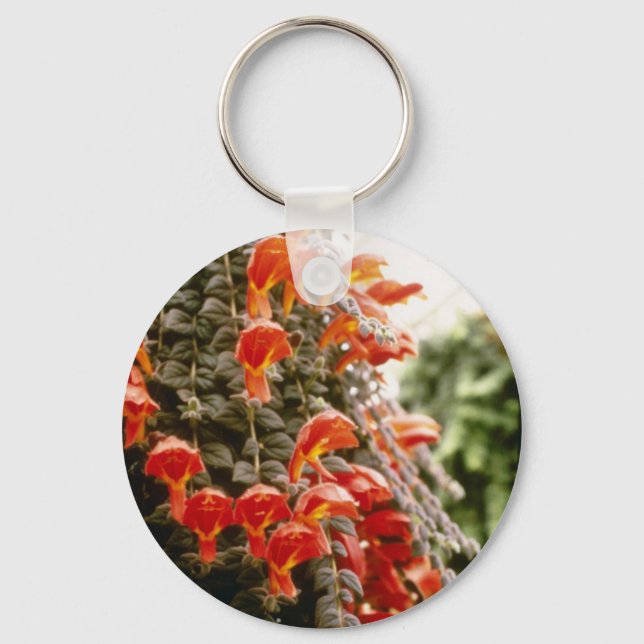 Orange Columnea Gloriosa Goldfish Plant flowers Key Ring (Front)