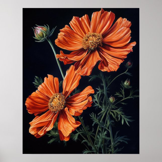 Orange Cosmos Flowers Art Print Poster (Front)