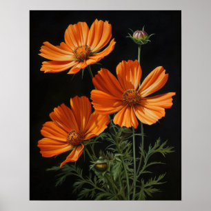 Orange Cosmos Flowers Art Print Poster