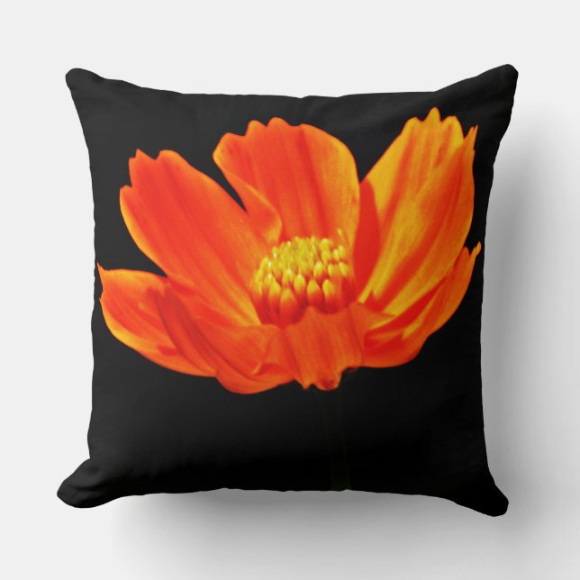 Orange Cosmos Flowers Cushion (Front)