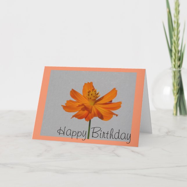 Orange Cosmos Happy Birthday Greeting Card (Front)