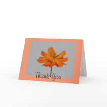 Orange Cosmos Thank You Greeting Card
