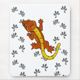 Orange Crestie Footprints (mousepad) Mouse Pad