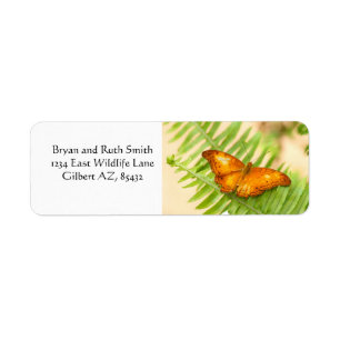 Orange Cruiser Butterfly Return Address Label