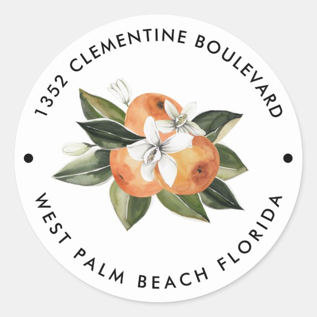 Orange Cutie Tangerine Return Address  Classic Round Sticker (Front)