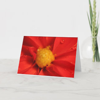 Orange Dahlia Card