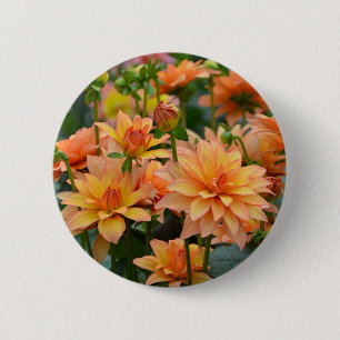 Orange dahlia flower garden 6 cm round badge