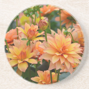 Orange dahlia flower garden coaster