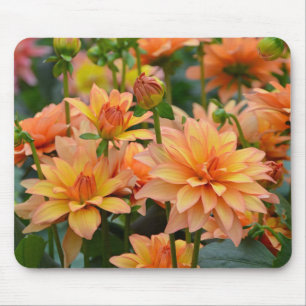 Orange dahlia flower garden mouse pad