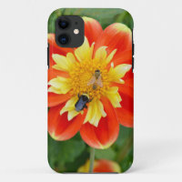 Orange dahlia flower with honey bees