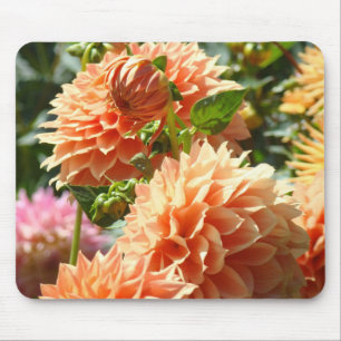 Orange Dahlia Flowers mousepads Floral gifts