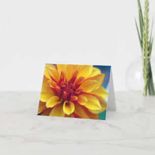 Orange Dahlia Greeting Card